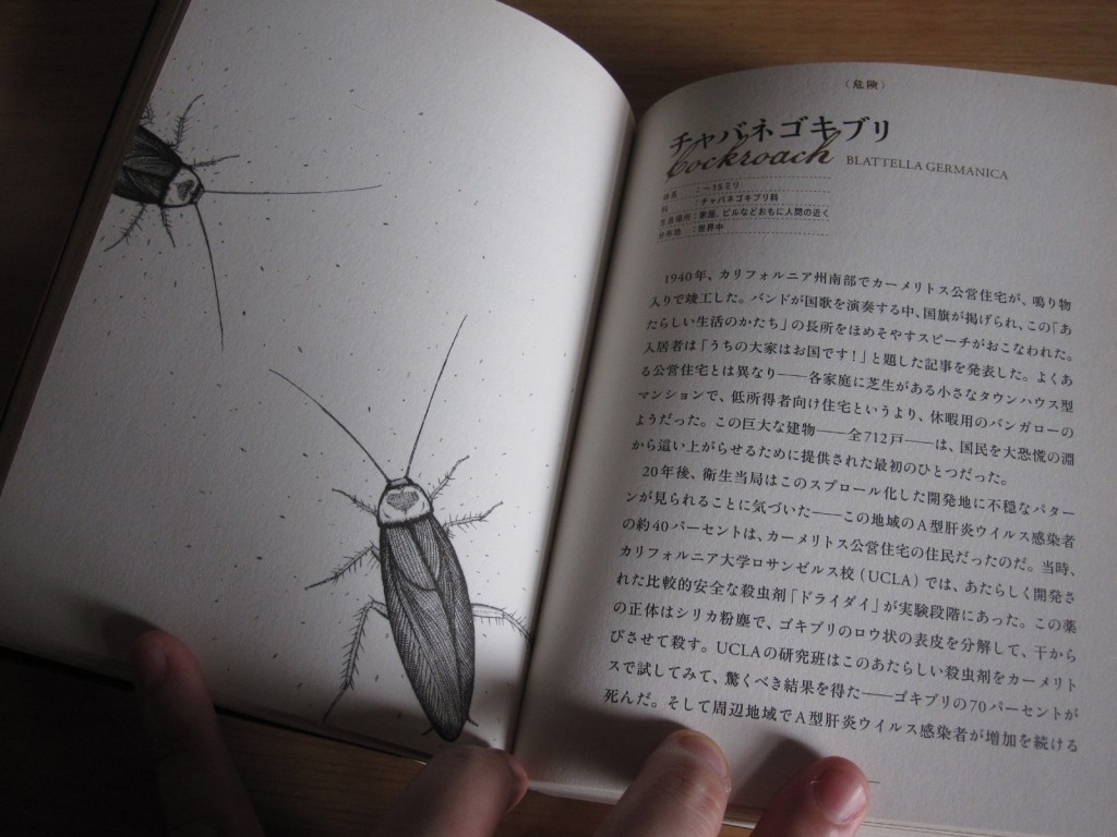 （危険）チャバネゴキブリのページを開く