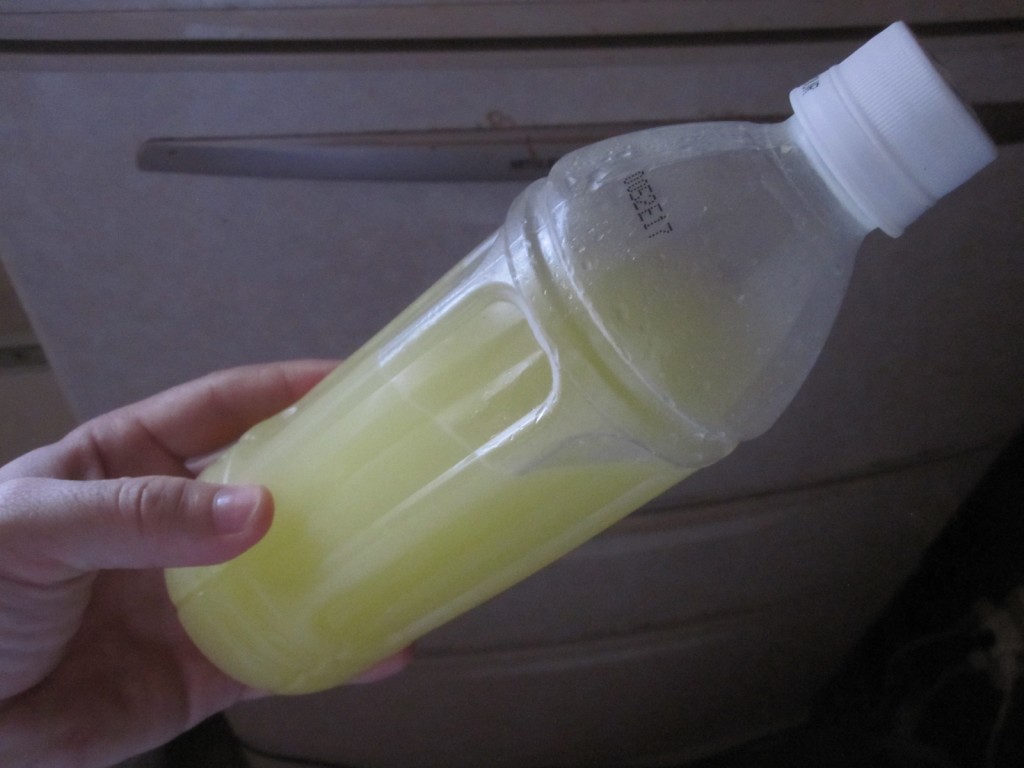 保管した絞り果汁のペットボトル