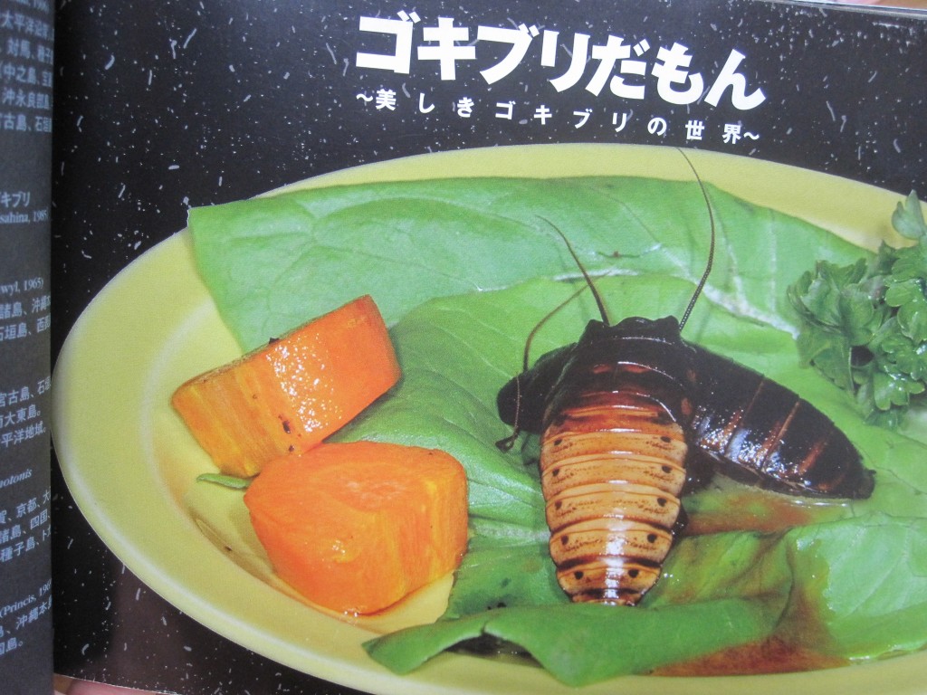 ゴキブリ図鑑の良書 ゴキブリだもん