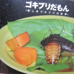 ゴキブリ図鑑の名作・良書を読んで感激した。