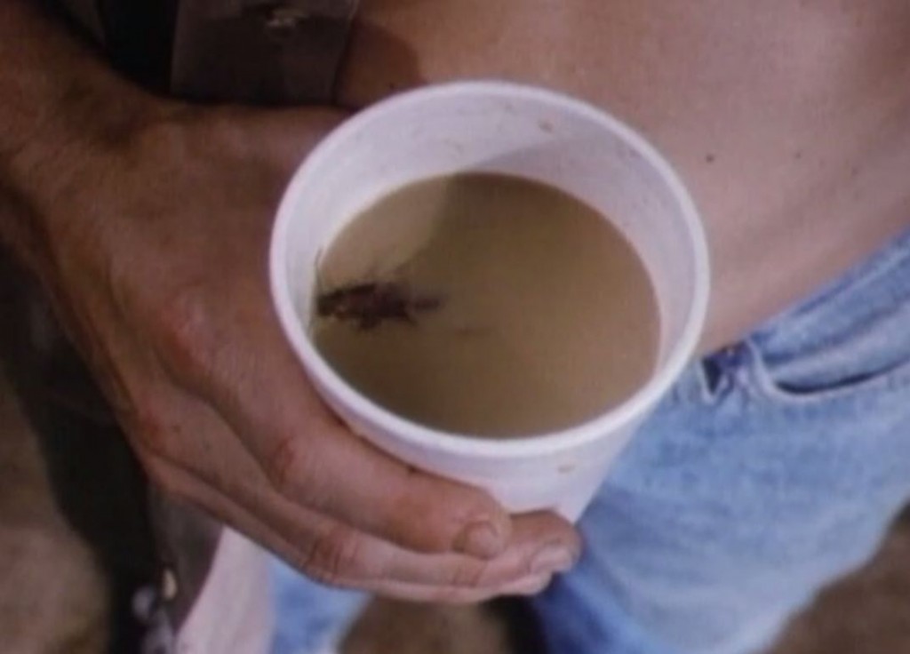 コーヒーの中でゴキブリがもがく様子