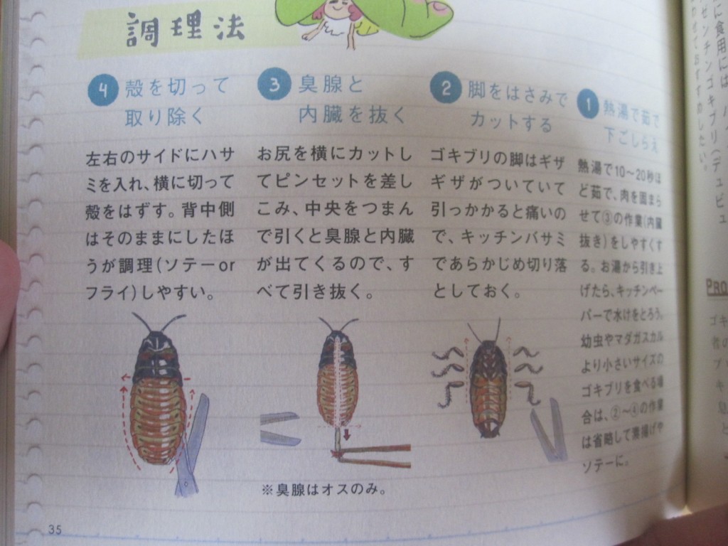ゴキブリの調理方法