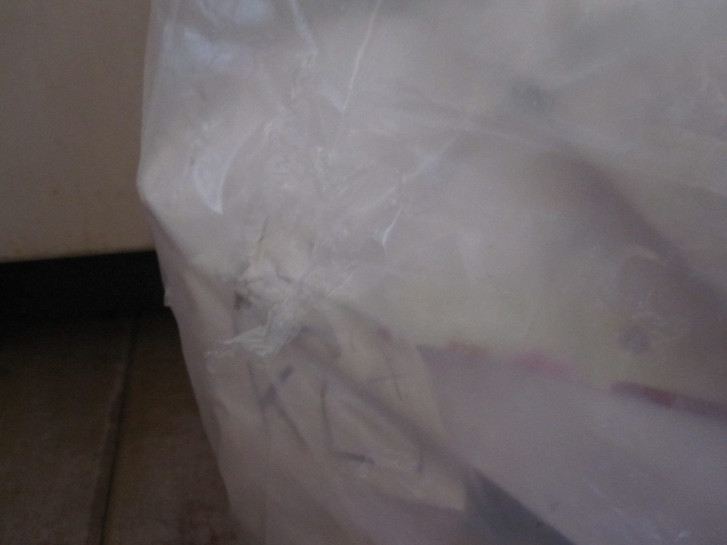 野良猫が台所のゴミ袋を噛み切った証拠写真