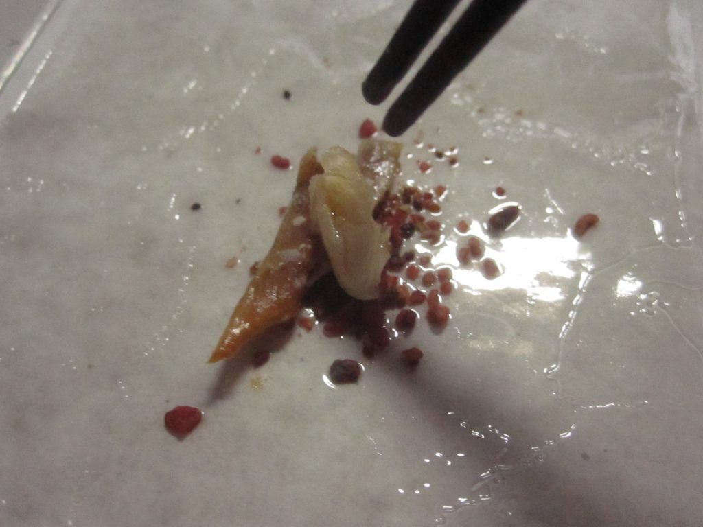 DAISOゴキブリ粘着シートの誘引剤に夜飯のオカズを利用する