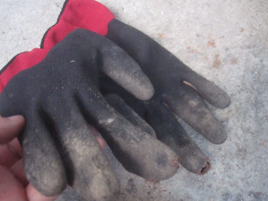 ガーデニング・草刈り作業で指先がボロボロに破れ穴が空いた手袋
