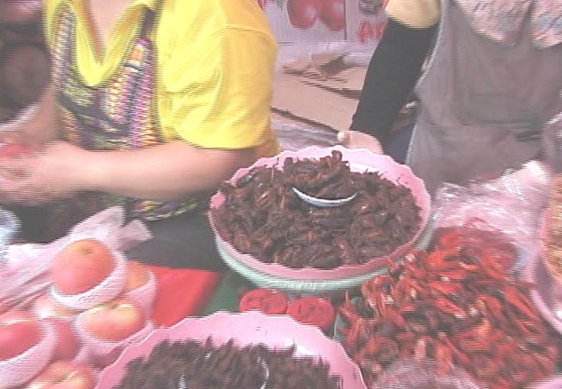 タイの市場・売店で虫を販売している屋台を発見