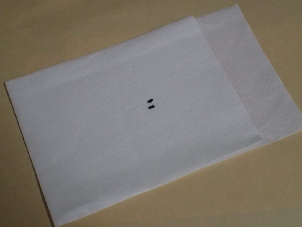 紙ナプキンの上にゴキブリの糞を並べた図
