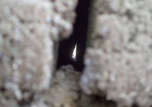 ブロック塀の壁の穴、隙間にも蟻やゴキブリが隠れている